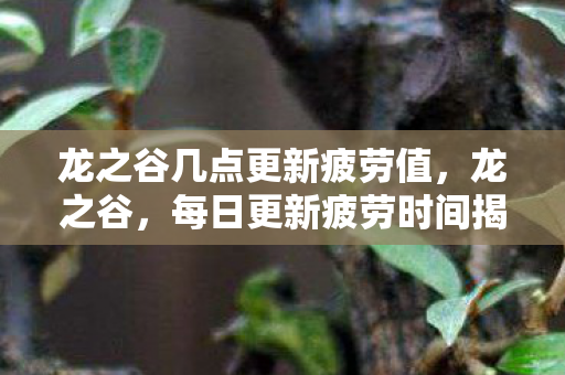龙之谷几点更新疲劳值,龙之谷,每日更新疲劳时间揭秘 龙之谷几点更新疲劳值,龙之谷,每日更新疲劳时间揭秘