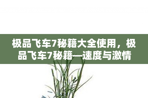 极品飞车7秘籍大全使用，极品飞车7秘籍—速度与激情的无限可能