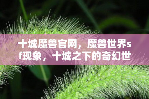 十城魔兽官网,魔兽世界sf现象,十城之下的奇幻世界探索 十城魔兽官网,魔兽世界sf现象,十城之下的奇幻世界探索