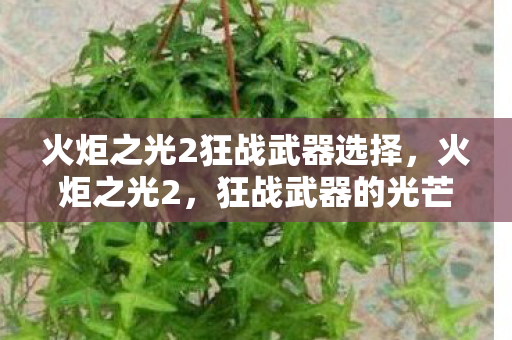 火炬之光2狂战武器选择,火炬之光2,狂战武器的光芒 火炬之光2狂战武器选择,火炬之光2,狂战武器的光芒