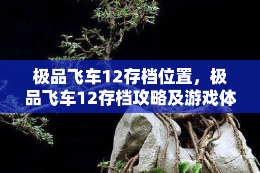 极品飞车12存档位置,极品飞车12存档攻略及游戏体验分享 极品飞车12存档位置,极品飞车12存档攻略及游戏体验分享