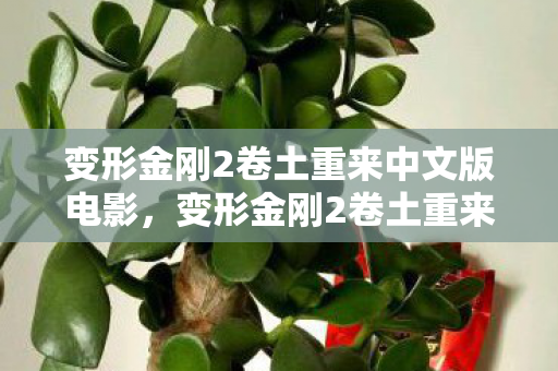 变形金刚2卷土重来中文版电影,变形金刚2卷土重来—深度解析与回顾 变形金刚2卷土重来中文版电影,变形金刚2卷土重来—深度解析与回顾