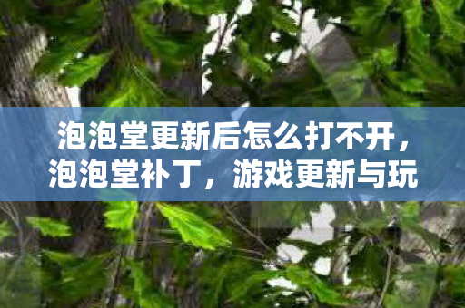 泡泡堂更新后怎么打不开，泡泡堂补丁，游戏更新与玩家体验的双重考量
