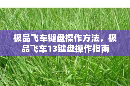 极品飞车键盘操作方法,极品飞车13键盘操作指南 极品飞车键盘操作方法,极品飞车13键盘操作指南