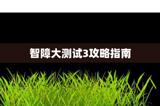 智障大测试3攻略指南图片
