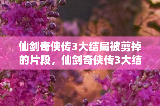 仙剑奇侠传3大结局被剪掉的片段，仙剑奇侠传3大结局深度解析，命运的轮回与英雄的选择