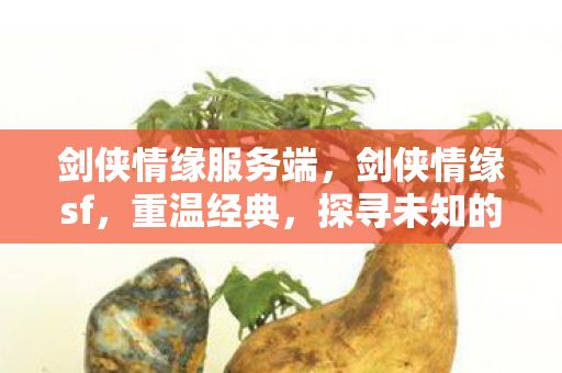 剑侠情缘服务端，剑侠情缘sf，重温经典，探寻未知的游戏世界