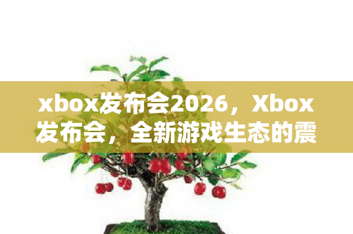 xbox发布会2026，Xbox发布会，全新游戏生态的震撼亮相
