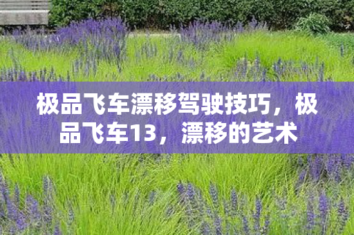 极品飞车漂移驾驶技巧，极品飞车13，漂移的艺术