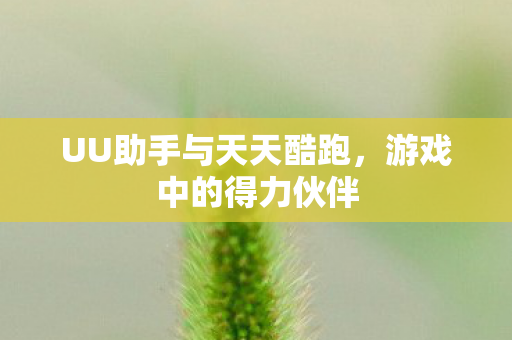 UU助手与天天酷跑图片