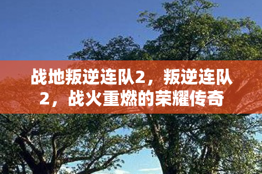 战地叛逆连队2,叛逆连队2,战火重燃的荣耀传奇 战地叛逆连队2,叛逆连队2,战火重燃的荣耀传奇