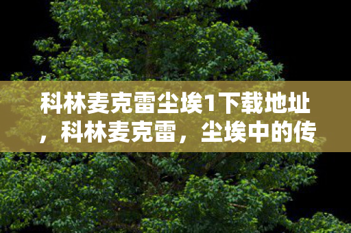 科林麦克雷尘埃1下载地址,科林麦克雷,尘埃中的传奇—尘埃1回顾 科林麦克雷尘埃1下载地址,科林麦克雷,尘埃中的传奇—尘埃1回顾