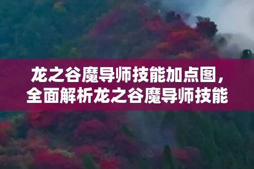 龙之谷魔导师技能加点图,全面解析龙之谷魔导师技能加点策略 龙之谷魔导师技能加点图,全面解析龙之谷魔导师技能加点策略