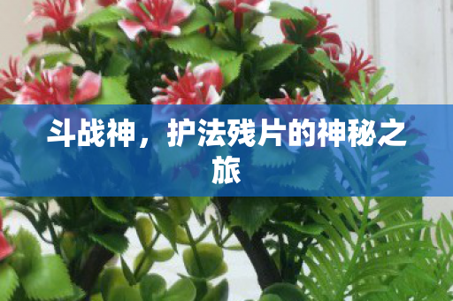 护法残片的神秘之旅图片