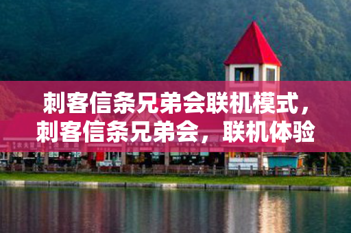 刺客信条兄弟会联机模式，刺客信条兄弟会，联机体验与深入解析