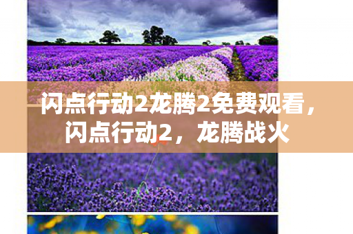 闪点行动2龙腾2免费观看,闪点行动2,龙腾战火 闪点行动2龙腾2免费观看,闪点行动2,龙腾战火