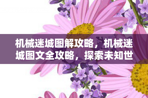 机械迷城图解攻略,机械迷城图文全攻略,探索未知世界的秘密宝藏 机械迷城图解攻略,机械迷城图文全攻略,探索未知世界的秘密宝藏