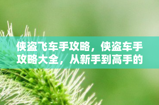 侠盗飞车手攻略,侠盗车手攻略大全,从新手到高手的全面指南 侠盗飞车手攻略,侠盗车手攻略大全,从新手到高手的全面指南