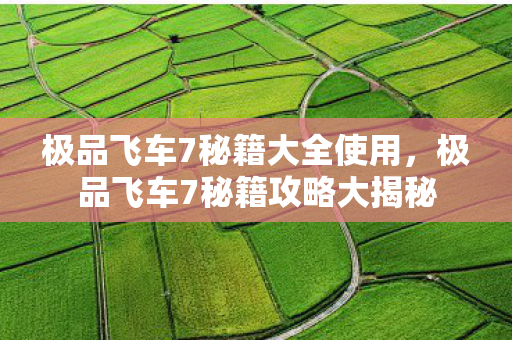 极品飞车7秘籍大全使用,极品飞车7秘籍攻略大揭秘 极品飞车7秘籍大全使用,极品飞车7秘籍攻略大揭秘