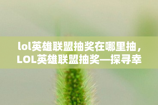lol英雄联盟抽奖在哪里抽，LOL英雄联盟抽奖—探寻幸运之门背后的秘密