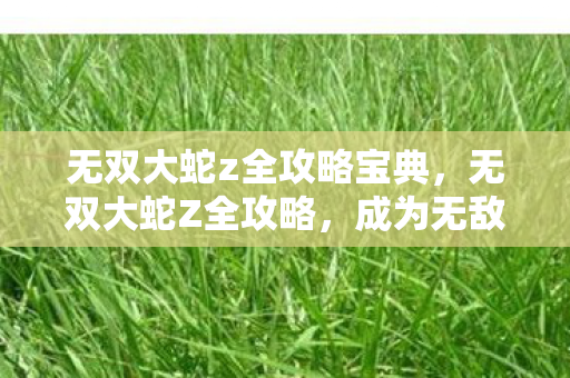 无双大蛇z全攻略宝典,无双大蛇Z全攻略,成为无敌玩家的必经之路 无双大蛇z全攻略宝典,无双大蛇Z全攻略,成为无敌玩家的必经之路