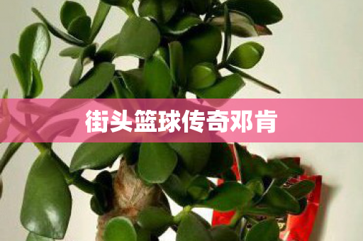 街头篮球传奇邓肯图片