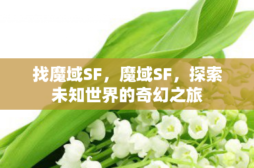 找魔域SF，魔域SF，探索未知世界的奇幻之旅