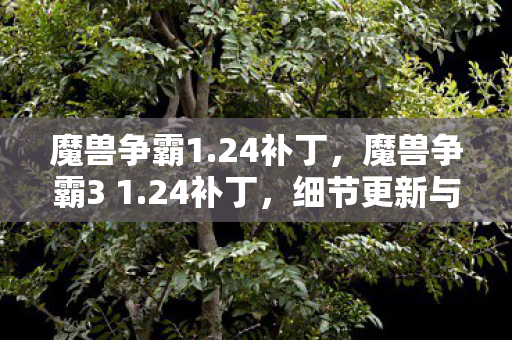 魔兽争霸1.24补丁，魔兽争霸3 1.24补丁，细节更新与游戏体验的升级
