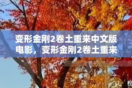 变形金刚2卷土重来中文版电影，变形金刚2卷土重来中文版—深度解析与回顾