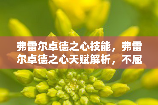 弗雷尔卓德之心技能,弗雷尔卓德之心天赋解析,不屈意志的崛起 弗雷尔卓德之心技能,弗雷尔卓德之心天赋解析,不屈意志的崛起