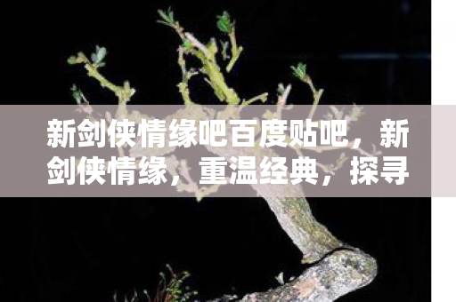 新剑侠情缘吧百度贴吧,新剑侠情缘,重温经典,探寻未知之旅 新剑侠情缘吧百度贴吧,新剑侠情缘,重温经典,探寻未知之旅