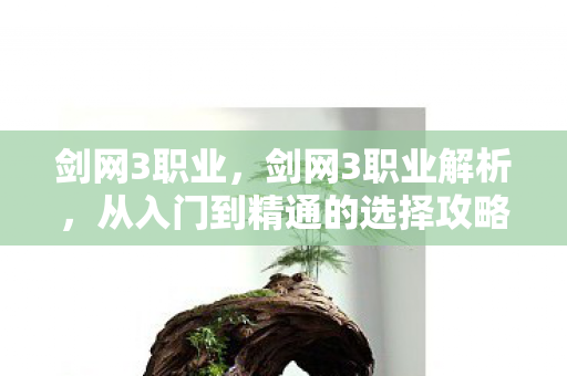 剑网3职业，剑网3职业解析，从入门到精通的选择攻略