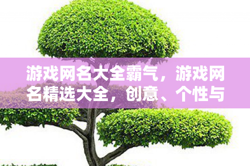 游戏网名大全霸气，游戏网名精选大全，创意、个性与独特魅力