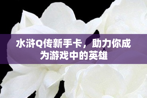 助力你成为游戏中的英雄图片