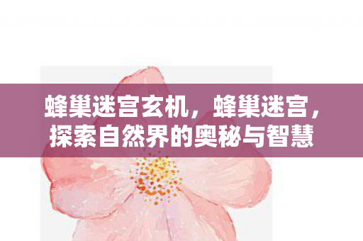蜂巢迷宫玄机,蜂巢迷宫,探索自然界的奥秘与智慧 蜂巢迷宫玄机,蜂巢迷宫,探索自然界的奥秘与智慧