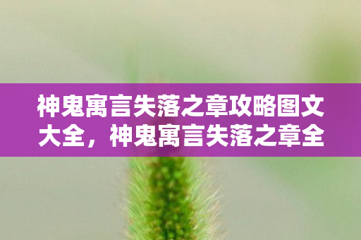 神鬼寓言失落之章攻略图文大全,神鬼寓言失落之章全面攻略,解锁未知世界的秘密 神鬼寓言失落之章攻略图文大全,神鬼寓言失落之章全面攻略,解锁未知世界的秘密