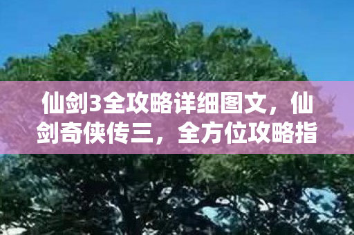 仙剑3全攻略详细图文，仙剑奇侠传三，全方位攻略指南