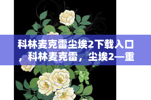 科林麦克雷尘埃2下载入口，科林麦克雷，尘埃2—重温经典，再现辉煌