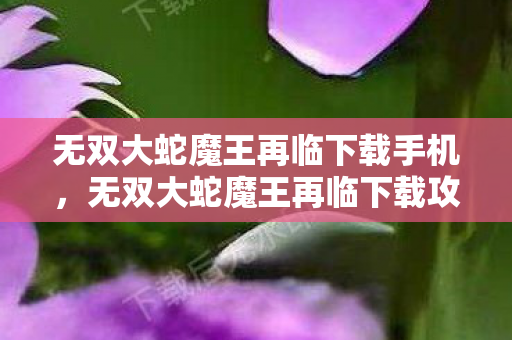 无双大蛇魔王再临下载手机，无双大蛇魔王再临下载攻略及游戏介绍