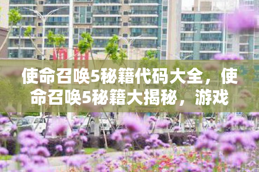 使命召唤5秘籍代码大全,使命召唤5秘籍大揭秘,游戏高手的秘籍攻略 使命召唤5秘籍代码大全,使命召唤5秘籍大揭秘,游戏高手的秘籍攻略