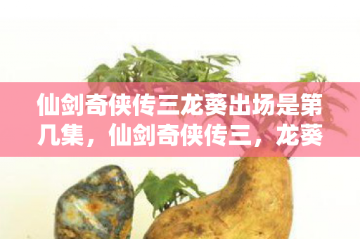 仙剑奇侠传三龙葵出场是第几集，仙剑奇侠传三，龙葵的传奇之旅