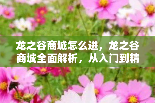 龙之谷商城怎么进,龙之谷商城全面解析,从入门到精通 龙之谷商城怎么进,龙之谷商城全面解析,从入门到精通