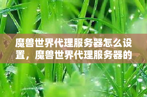 魔兽世界代理服务器怎么设置,魔兽世界代理服务器的风云变幻 魔兽世界代理服务器怎么设置,魔兽世界代理服务器的风云变幻