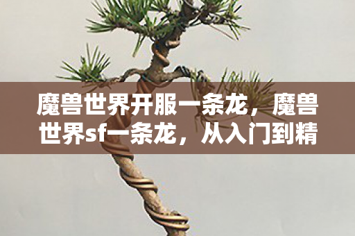 魔兽世界开服一条龙,魔兽世界sf一条龙,从入门到精通 魔兽世界开服一条龙,魔兽世界sf一条龙,从入门到精通
