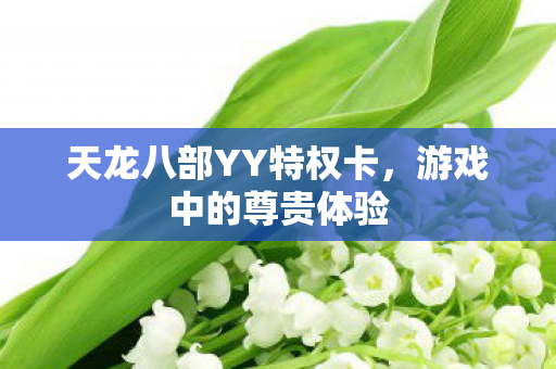天龙八部YY特权卡图片