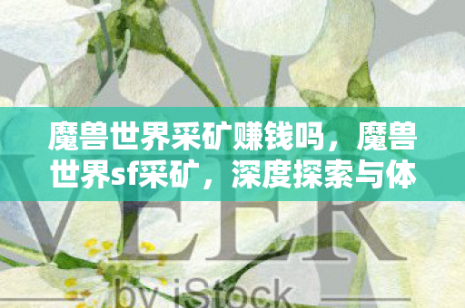 魔兽世界采矿赚钱吗，魔兽世界sf采矿，深度探索与体验