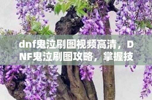 dnf鬼泣刷图视频高清，DNF鬼泣刷图攻略，掌握技巧，轻松通关！