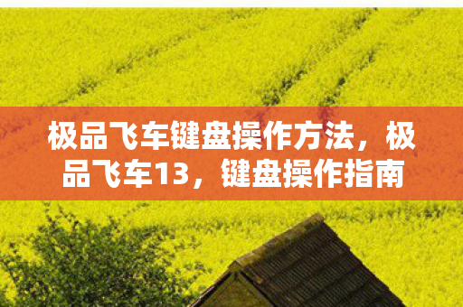 极品飞车键盘操作方法,极品飞车13,键盘操作指南 极品飞车键盘操作方法,极品飞车13,键盘操作指南
