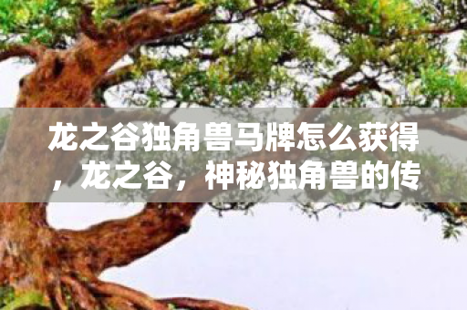 龙之谷独角兽马牌怎么获得，龙之谷，神秘独角兽的传奇之旅