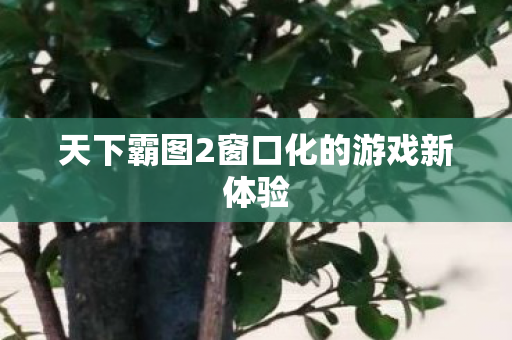 天下霸图2窗口化的游戏新体验图片